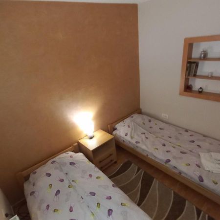 Apartman Ivona Ovcar Banja Exterior photo